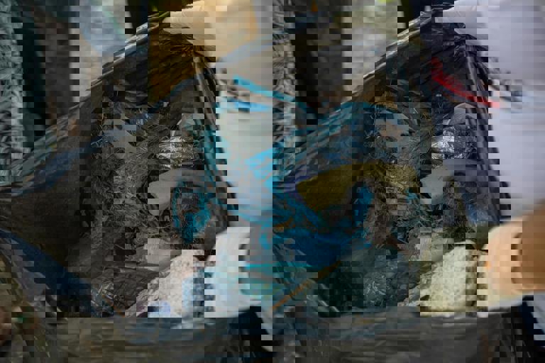 National Policy Shift Aims to Phase Out Single-Use Plastics by 2027